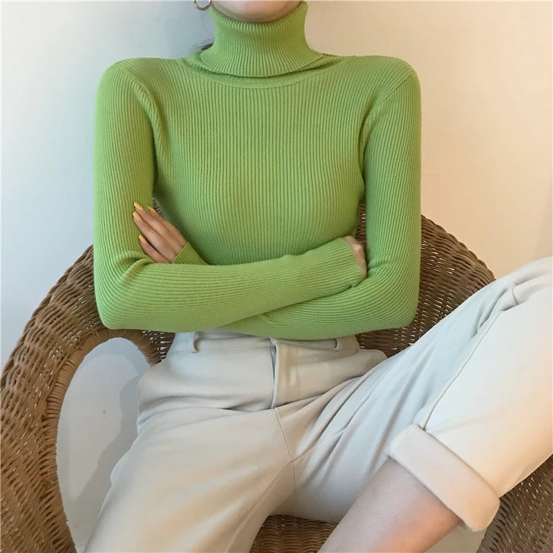 Heliar Women Fall Turtleneck Sweater