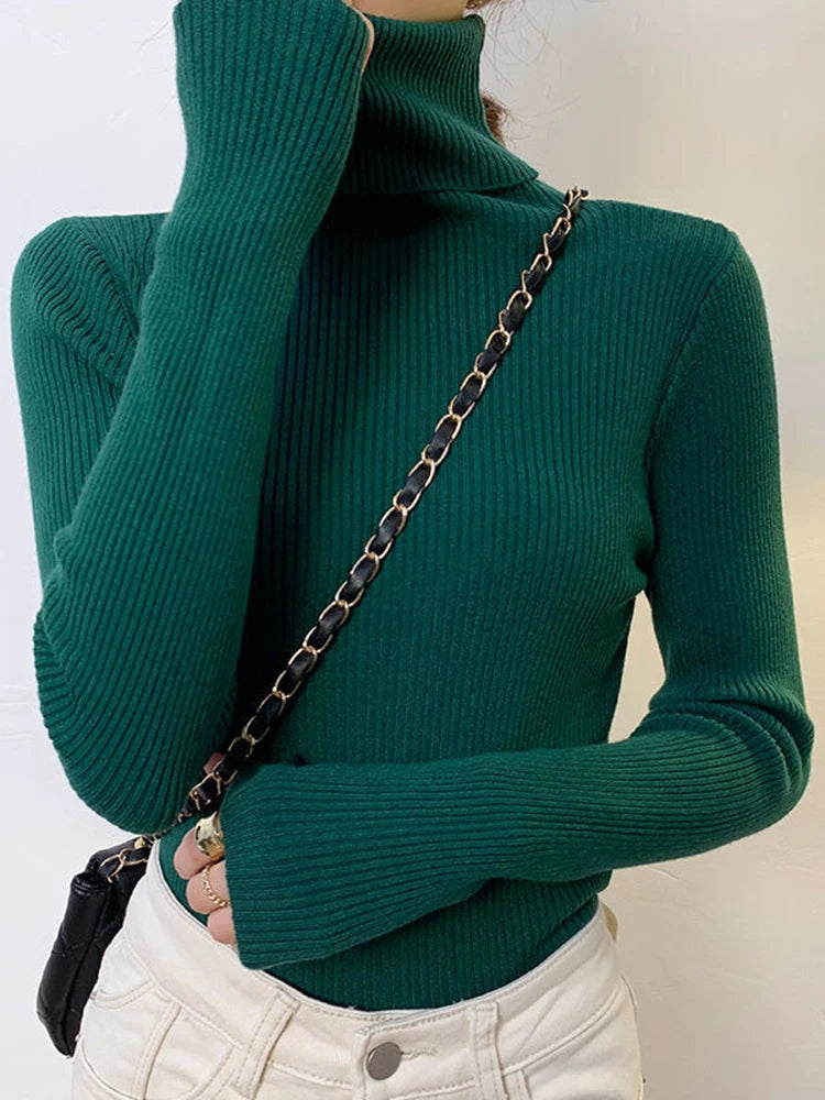 Heliar Women Fall Turtleneck Sweater
