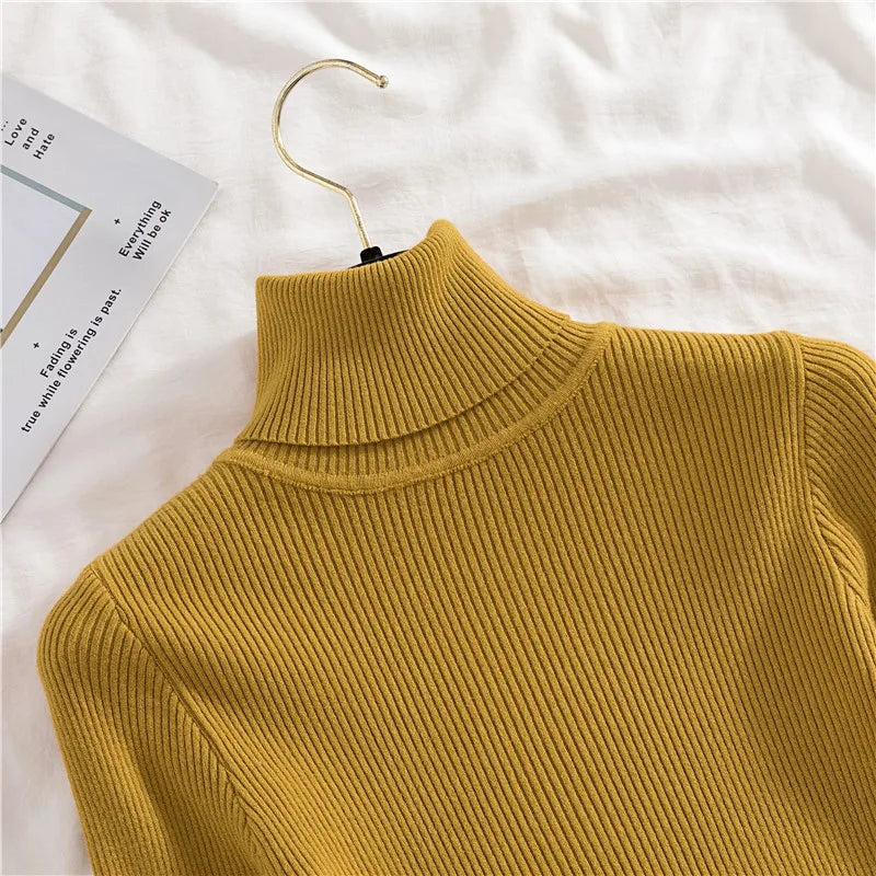 Heliar Women Fall Turtleneck Sweater