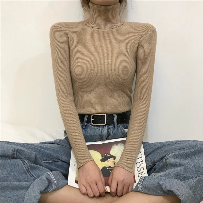 Heliar Women Fall Turtleneck Sweater
