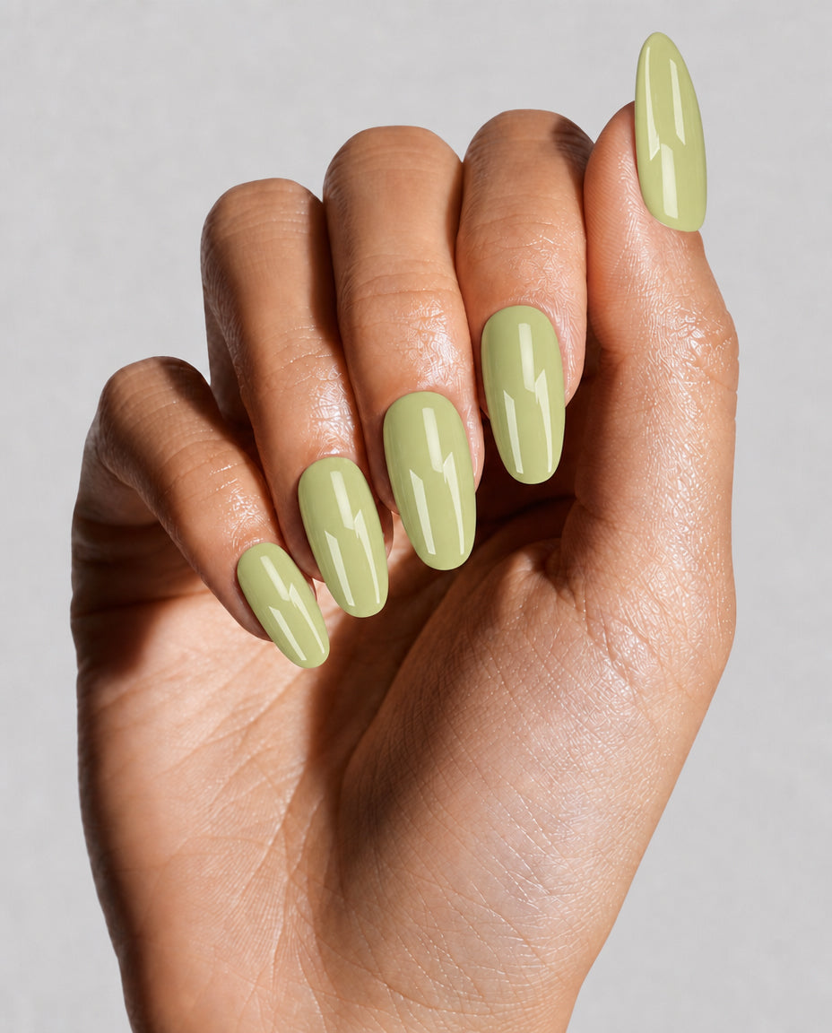 The Essential Solids | Medium Oval